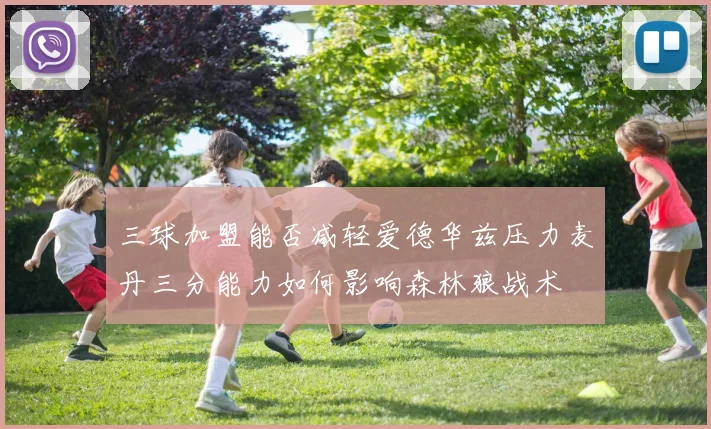 三球加盟能否减轻爱德华兹压力麦丹三分能力如何影响森林狼战术