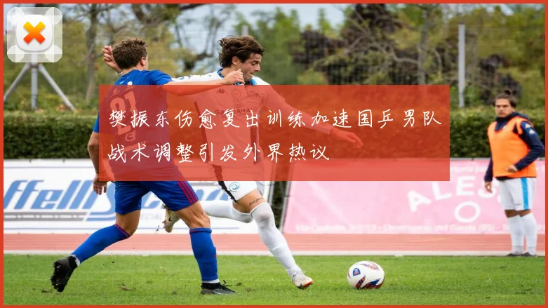 樊振东伤愈复出训练加速国乒男队战术调整引发外界热议